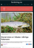 Storørreten er tilbake i dårlige fiskevann