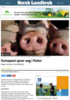 Svinepest sprer seg i Polen