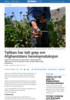 Taliban har tatt grep om Afghanistans heroinproduksjon