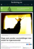 Unge som sender sexmeldinger mer utsatt for kjærestevold