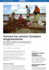 Varmere hav rammer Zanzibars tangprodusenter