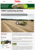 VIDEO: Innhøsting på Bryn