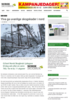 Ylva ga uvanlige skogskader i nord